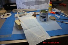 IMG_1787_zps0ffc0804.jpg