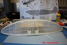 IMG_1793_zps2af74a6c.jpg
