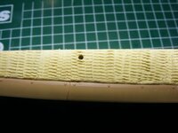 TIGERIOTTO16_zps7a0cd00c.jpg