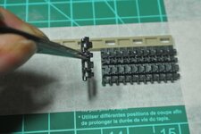TIGERIOTTO42_zps22ace11f.jpg