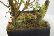 007_zps0e4019a2.jpg