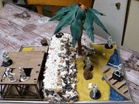 DSC04288_zpsl8xguvdf.jpg