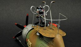DSC_0672.jpg