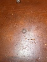 38339824601_35c4e1bdc3_b.jpg