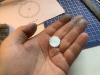 48879716848_da34347ddc_b.jpg
