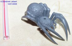 1_spider1.jpg 1_spider1.jpg