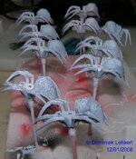 1_spider2.jpg 1_spider2.jpg