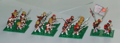 1_1st_Louisiana_Inf-Colonne.jpg