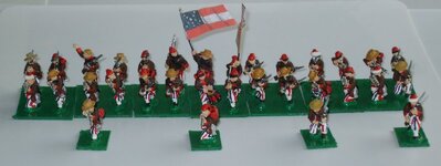 1_1st_Louisiana_Inf-Line___Skirmishers.jpg
