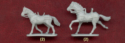1_CAE-Conquistadores04.jpg