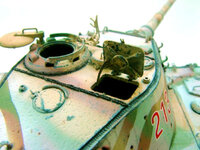 tigeriifd_14.jpg