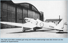 g_type224gullwing.jpg g_type224gullwing.jpg