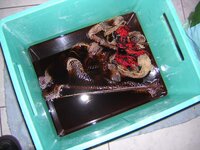 1_DSCN9310.jpg
