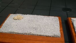 Afbeelding_008%7E26.jpg