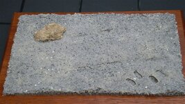 Afbeelding_011%7E24.jpg
