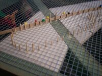 1_100_6388.jpg