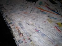 1_100_6636.jpg