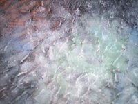 1_100_6849.jpg