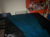 1_100_7167.jpg