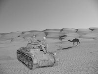 Woestijn-3-VG897_b.jpg