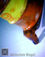 Shell.jpg