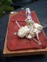 Afbeelding_076%7E9.jpg