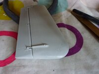 P1000260.jpg