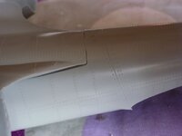 P1000267.jpg