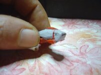 004%7E14.jpg