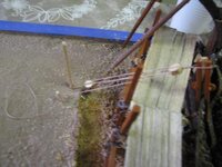 Afbeelding_020.jpg