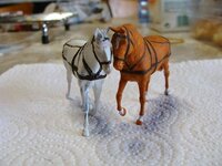 DSC01212.jpg