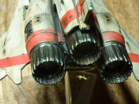 P1010005.jpg