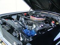 _Ford_Shelby_GT350_Hertz_Mustang_Fastback_Engine_1.jpg