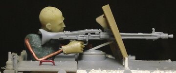 QMD19T.jpg