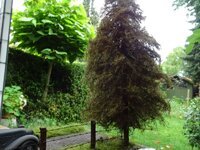 DSC01623.JPG