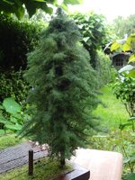 DSC01634.JPG