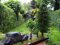 DSC01637.JPG