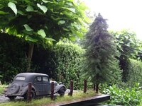 DSC01643.JPG