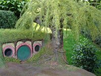 DSC02034.JPG