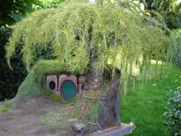 DSC02035.JPG
