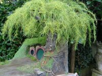 DSC02040.JPG