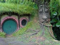 DSC02046.JPG