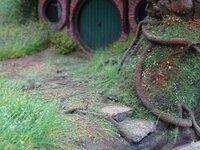 DSC02076.JPG