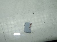 DSC02581.JPG