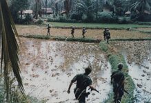 800px-US-Army-troops-patrol-Vietnamese-rice-paddy-outside-village.jpg