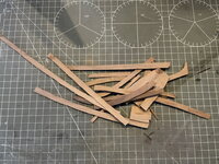 Cazador_126.jpg