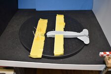 Wing taped.jpg