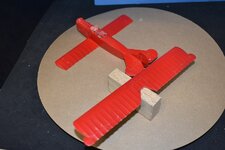 Red body wings.jpg