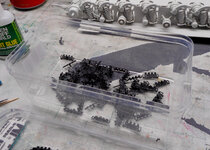 DSCN2517.jpg