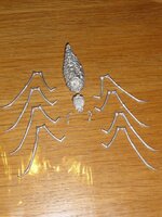 Shelob 1.JPG